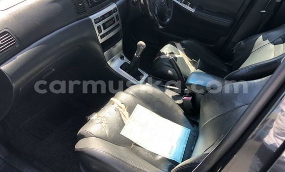 Acheter Occasion Voiture Toyota Runx Noir à Beitbridge, Matabeleland South Acheter Occasion Voiture Toyota Runx Noir à Beitbridge, Matabeleland South