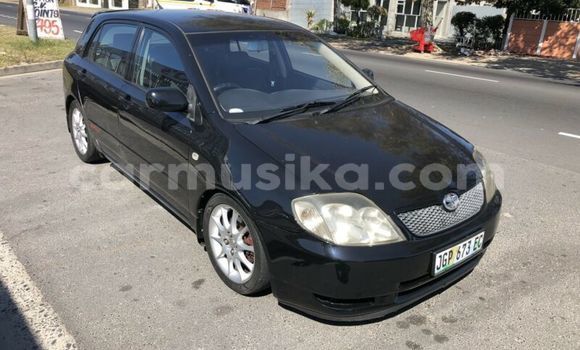 Acheter Occasion Voiture Toyota Runx Noir à Beitbridge, Matabeleland South Acheter Occasion Voiture Toyota Runx Noir à Beitbridge, Matabeleland South