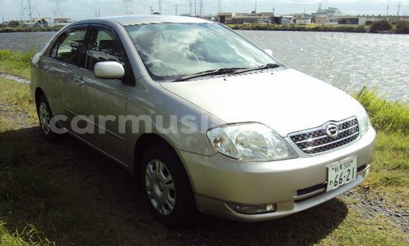 Acheter Occasion Voiture Toyota Corolla Marron à Beitbridge, Matabeleland South Acheter Occasion Voiture Toyota Corolla Marron à Beitbridge, Matabeleland South