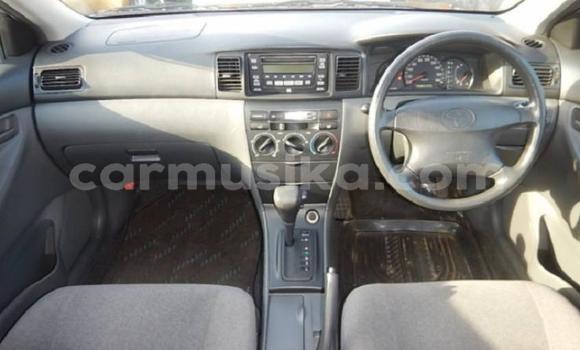 Acheter Occasion Voiture Toyota Corolla Marron à Beitbridge, Matabeleland South Acheter Occasion Voiture Toyota Corolla Marron à Beitbridge, Matabeleland South