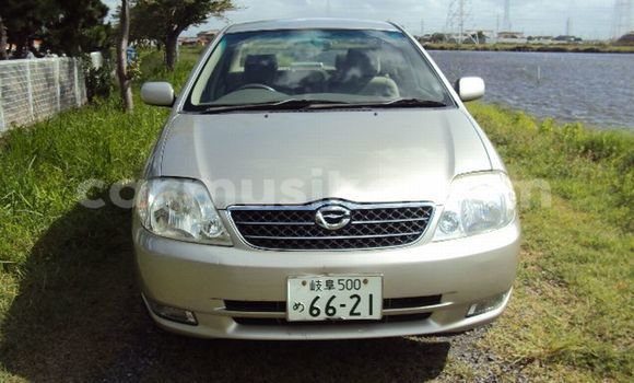 Acheter Occasion Voiture Toyota Corolla Marron à Beitbridge, Matabeleland South Acheter Occasion Voiture Toyota Corolla Marron à Beitbridge, Matabeleland South