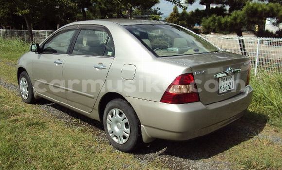 Acheter Occasion Voiture Toyota Corolla Marron à Beitbridge, Matabeleland South Acheter Occasion Voiture Toyota Corolla Marron à Beitbridge, Matabeleland South