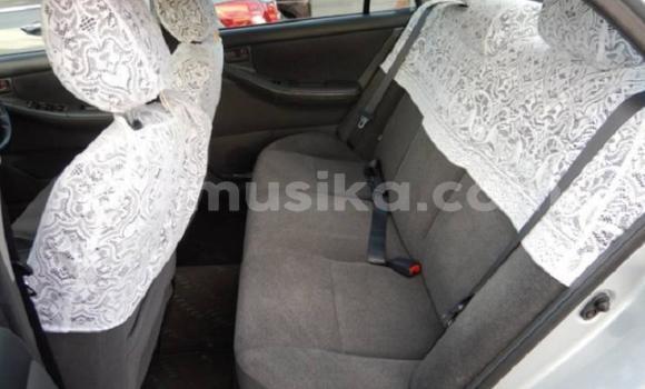 Acheter Occasion Voiture Toyota Corolla Marron à Beitbridge, Matabeleland South Acheter Occasion Voiture Toyota Corolla Marron à Beitbridge, Matabeleland South