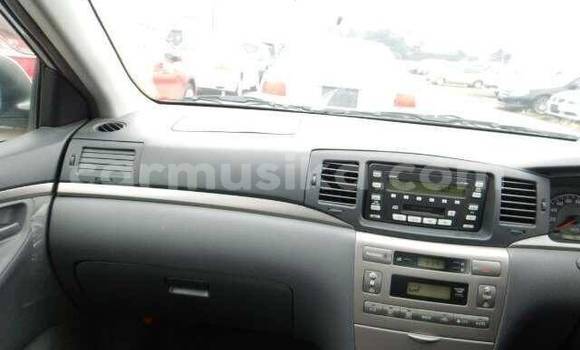 Acheter Occasion Voiture Toyota Corolla Marron à Beitbridge, Matabeleland South Acheter Occasion Voiture Toyota Corolla Marron à Beitbridge, Matabeleland South