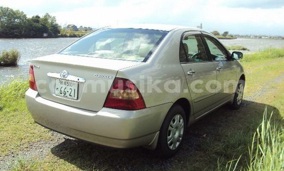 Acheter Occasion Voiture Toyota Corolla Marron à Beitbridge, Matabeleland South Acheter Occasion Voiture Toyota Corolla Marron à Beitbridge, Matabeleland South