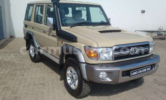 Tenga Tsaru Toyota Land Cruiser Beige Mota in Beitbridge in Matabeleland South