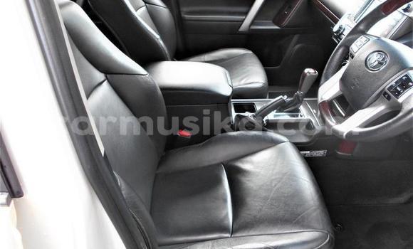 Nunua Ilio tumika Toyota Land Cruiser Prado Nyeupe Gari ndani ya Beitbridge nchini Matabeleland Kusini Nunua Ilio tumika Toyota Land Cruiser Prado Nyeupe Gari ndani ya Beitbridge nchini Matabeleland Kusini