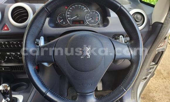 Buy Used Peugeot 1007 Other Car in Beitbridge in Matabeleland South Buy Used Peugeot 1007 Other Car in Beitbridge in Matabeleland South