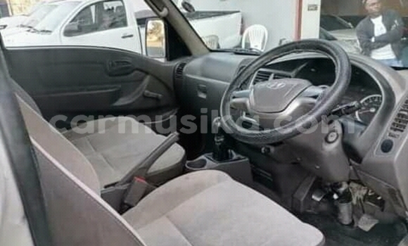 Buy Used Hyundai H200 White Truck in Beitbridge in Matabeleland South Buy Used Hyundai H200 White Truck in Beitbridge in Matabeleland South