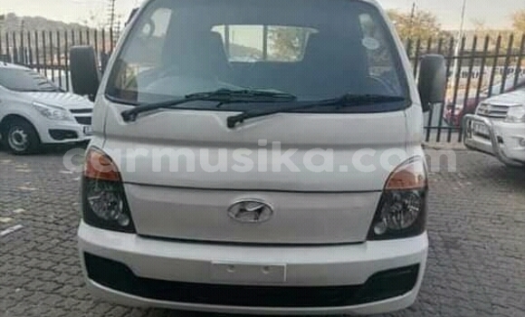 Buy Used Hyundai H200 White Truck in Beitbridge in Matabeleland South Buy Used Hyundai H200 White Truck in Beitbridge in Matabeleland South