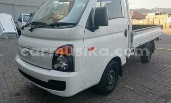 Buy Used Hyundai H200 White Truck in Beitbridge in Matabeleland South Buy Used Hyundai H200 White Truck in Beitbridge in Matabeleland South