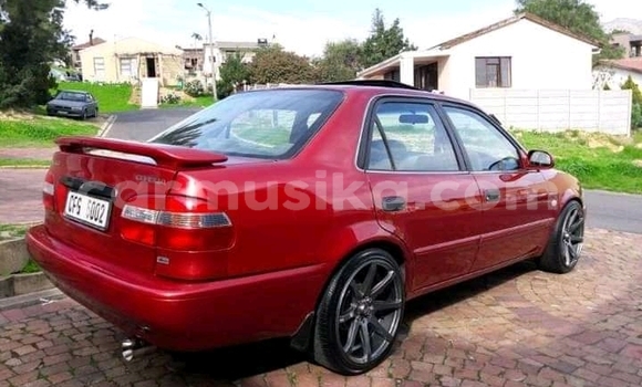 Tenga Tsaru Toyota Corolla Tsvuku Mota in Beitbridge in Matabeleland South Tenga Tsaru Toyota Corolla Tsvuku Mota in Beitbridge in Matabeleland South