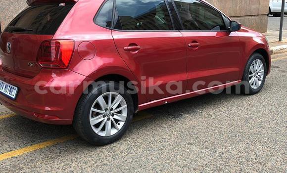 Tenga Tsaru Volkswagen Polo Tsvuku Mota in Beitbridge in Matabeleland South Tenga Tsaru Volkswagen Polo Tsvuku Mota in Beitbridge in Matabeleland South