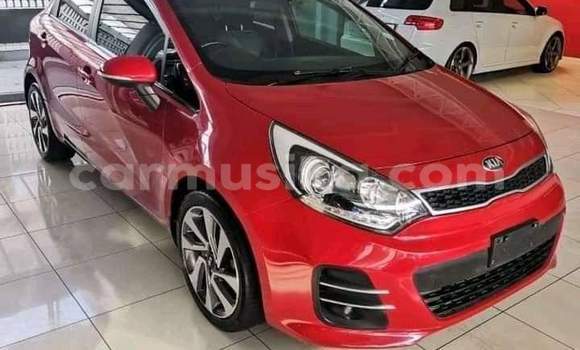 Buy Used Kia Rio Other Car in Beitbridge in Matabeleland South