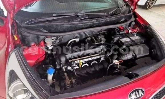 Acheter Occasion Voiture Kia Rio Autre à Beitbridge, Matabeleland South Acheter Occasion Voiture Kia Rio Autre à Beitbridge, Matabeleland South