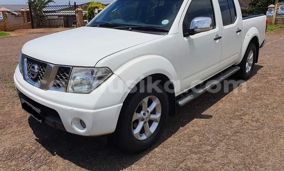 Tenga Tsaru Nissan Navara Chena Mota in Beitbridge in Matabeleland South