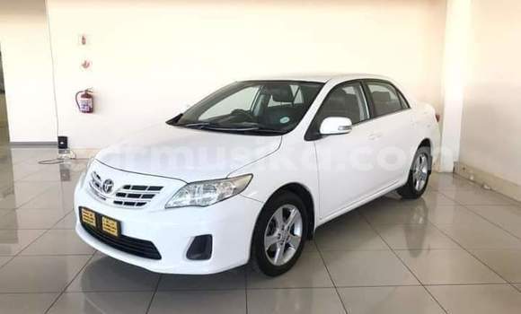 Acheter Occasion Voiture Toyota Corolla Blanc à Beitbridge, Matabeleland South