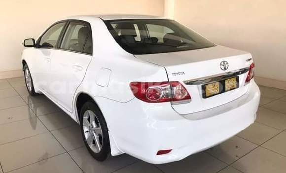 Nunua Ilio tumika Toyota Corolla Nyeupe Gari ndani ya Beitbridge nchini Matabeleland Kusini Nunua Ilio tumika Toyota Corolla Nyeupe Gari ndani ya Beitbridge nchini Matabeleland Kusini