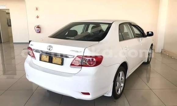 Nunua Ilio tumika Toyota Corolla Nyeupe Gari ndani ya Beitbridge nchini Matabeleland Kusini Nunua Ilio tumika Toyota Corolla Nyeupe Gari ndani ya Beitbridge nchini Matabeleland Kusini