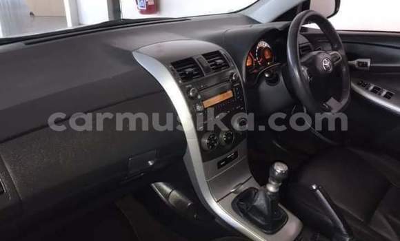 Nunua Ilio tumika Toyota Corolla Nyeupe Gari ndani ya Beitbridge nchini Matabeleland Kusini Nunua Ilio tumika Toyota Corolla Nyeupe Gari ndani ya Beitbridge nchini Matabeleland Kusini