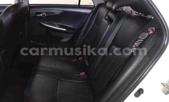 Nunua Ilio tumika Toyota Corolla Nyeupe Gari ndani ya Beitbridge nchini Matabeleland Kusini Nunua Ilio tumika Toyota Corolla Nyeupe Gari ndani ya Beitbridge nchini Matabeleland Kusini