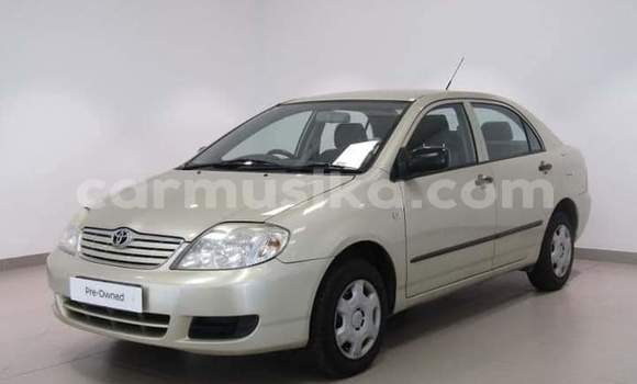 Buy Used Toyota Corolla Other Car in Beitbridge in Matabeleland South