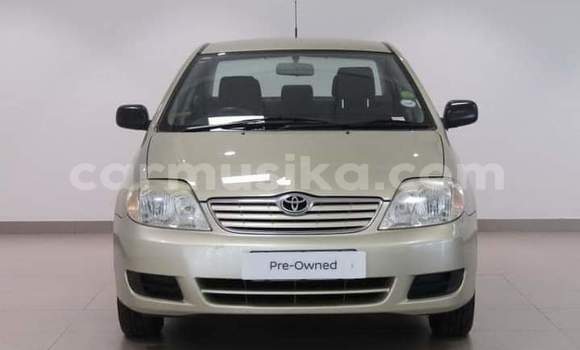 Nunua Ilio tumika Toyota Corolla Nyingine Gari ndani ya Beitbridge nchini Matabeleland Kusini Nunua Ilio tumika Toyota Corolla Nyingine Gari ndani ya Beitbridge nchini Matabeleland Kusini