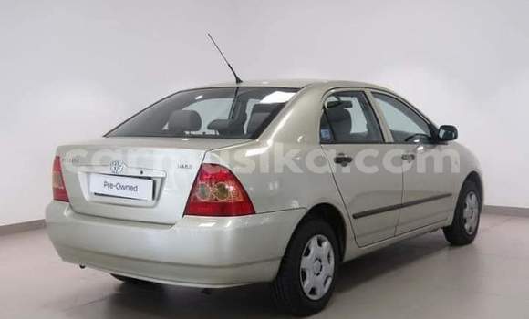 Nunua Ilio tumika Toyota Corolla Nyingine Gari ndani ya Beitbridge nchini Matabeleland Kusini Nunua Ilio tumika Toyota Corolla Nyingine Gari ndani ya Beitbridge nchini Matabeleland Kusini