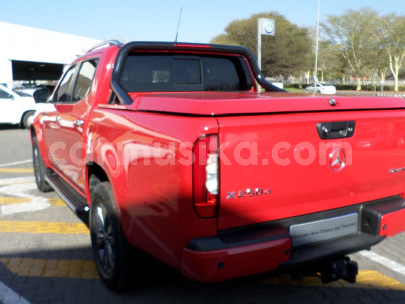 Big with watermark 55