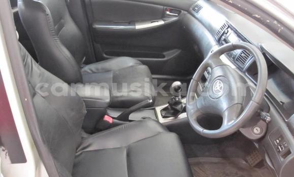 Buy Used Toyota Runx Silver Car in Beitbridge in Matabeleland South Buy Used Toyota Runx Silver Car in Beitbridge in Matabeleland South