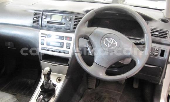 Buy Used Toyota Runx White Car in Beitbridge in Matabeleland South Buy Used Toyota Runx White Car in Beitbridge in Matabeleland South