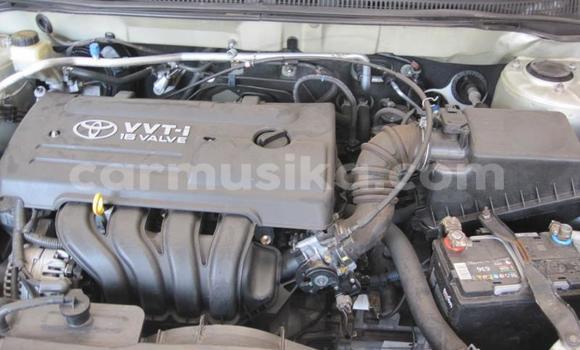 Buy Used Toyota Runx White Car in Beitbridge in Matabeleland South Buy Used Toyota Runx White Car in Beitbridge in Matabeleland South