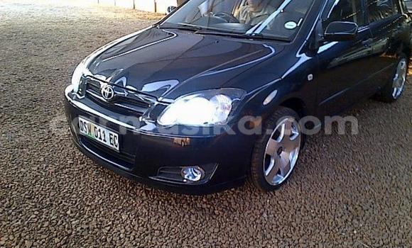 Acheter Occasion Voiture Toyota Runx Bleu à Beitbridge, Matabeleland South