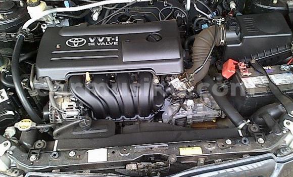 Buy Used Toyota Runx Blue Car in Beitbridge in Matabeleland South Buy Used Toyota Runx Blue Car in Beitbridge in Matabeleland South