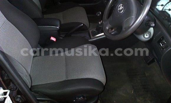 Buy Used Toyota Runx Blue Car in Beitbridge in Matabeleland South Buy Used Toyota Runx Blue Car in Beitbridge in Matabeleland South