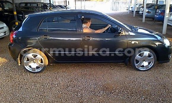 Buy Used Toyota Runx Blue Car in Beitbridge in Matabeleland South Buy Used Toyota Runx Blue Car in Beitbridge in Matabeleland South