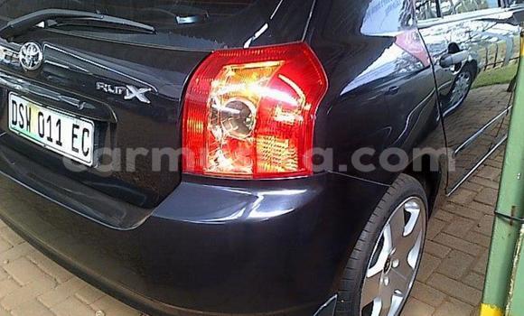 Buy Used Toyota Runx Blue Car in Beitbridge in Matabeleland South Buy Used Toyota Runx Blue Car in Beitbridge in Matabeleland South