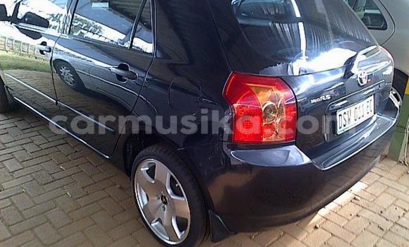 Buy Used Toyota Runx Blue Car in Beitbridge in Matabeleland South Buy Used Toyota Runx Blue Car in Beitbridge in Matabeleland South