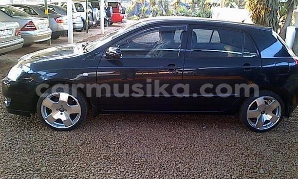 Buy Used Toyota Runx Blue Car in Beitbridge in Matabeleland South Buy Used Toyota Runx Blue Car in Beitbridge in Matabeleland South