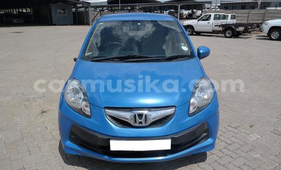 Tenga Tsaru Honda Brio Bhuruu Mota in Beitbridge in Matabeleland South