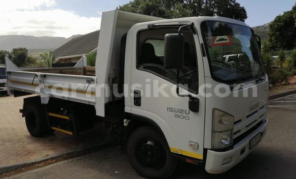 Buy Used Isuzu FTR 850 White Truck in Beitbridge in Matabeleland South Buy Used Isuzu FTR 850 White Truck in Beitbridge in Matabeleland South