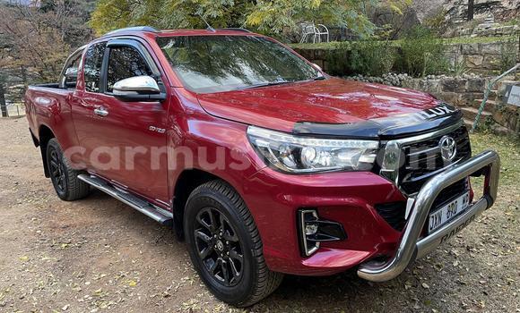 Acheter Occasion Voiture Toyota Hilux Rouge à Beitbridge, Matabeleland South Acheter Occasion Voiture Toyota Hilux Rouge à Beitbridge, Matabeleland South