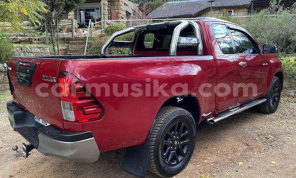 Acheter Occasion Voiture Toyota Hilux Rouge à Beitbridge, Matabeleland South Acheter Occasion Voiture Toyota Hilux Rouge à Beitbridge, Matabeleland South