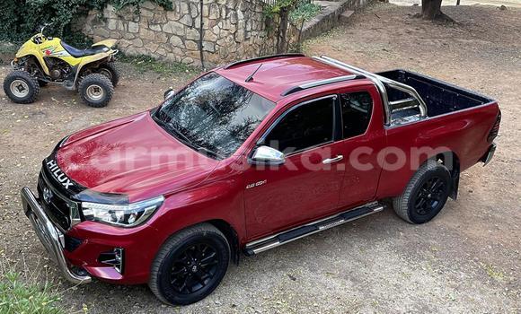 Acheter Occasion Voiture Toyota Hilux Rouge à Beitbridge, Matabeleland South Acheter Occasion Voiture Toyota Hilux Rouge à Beitbridge, Matabeleland South