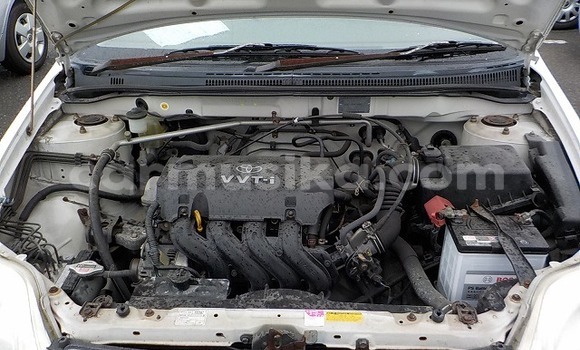 Buy Used Toyota Corolla Other Car in Beitbridge in Matabeleland South Buy Used Toyota Corolla Other Car in Beitbridge in Matabeleland South