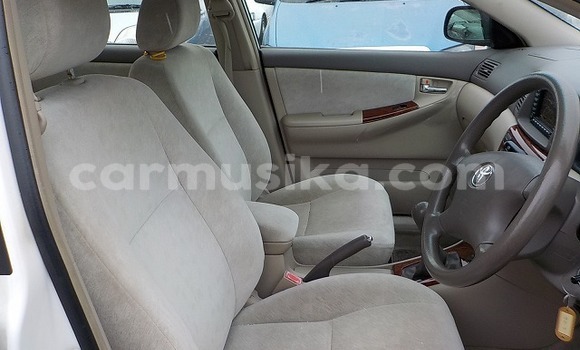 Buy Used Toyota Corolla Other Car in Beitbridge in Matabeleland South Buy Used Toyota Corolla Other Car in Beitbridge in Matabeleland South