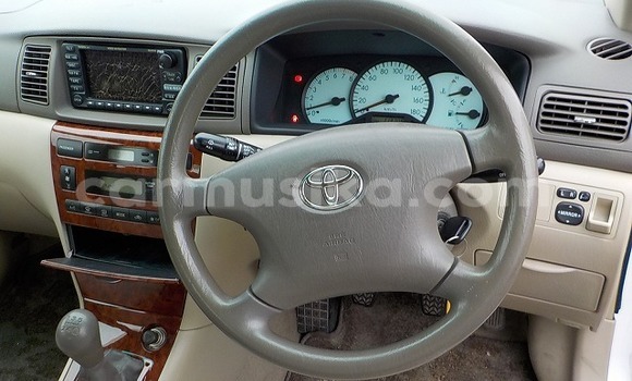 Buy Used Toyota Corolla Other Car in Beitbridge in Matabeleland South Buy Used Toyota Corolla Other Car in Beitbridge in Matabeleland South