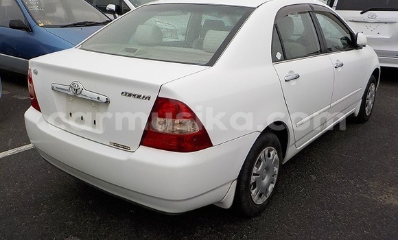 Buy Used Toyota Corolla Other Car in Beitbridge in Matabeleland South Buy Used Toyota Corolla Other Car in Beitbridge in Matabeleland South