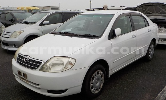 Buy Used Toyota Corolla Other Car in Beitbridge in Matabeleland South Buy Used Toyota Corolla Other Car in Beitbridge in Matabeleland South