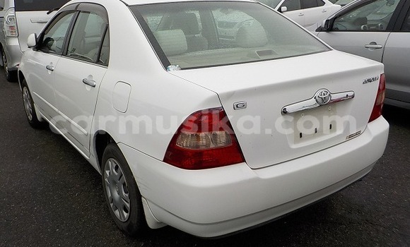 Buy Used Toyota Corolla Other Car in Beitbridge in Matabeleland South Buy Used Toyota Corolla Other Car in Beitbridge in Matabeleland South